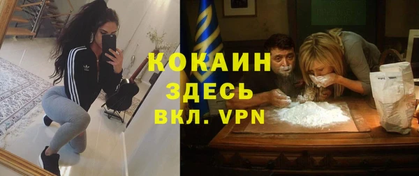 молекула духа Алексин