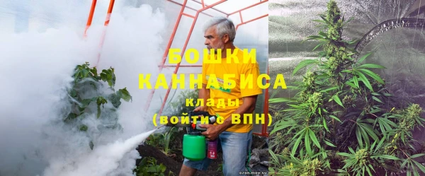 PSILOCYBIN Алзамай